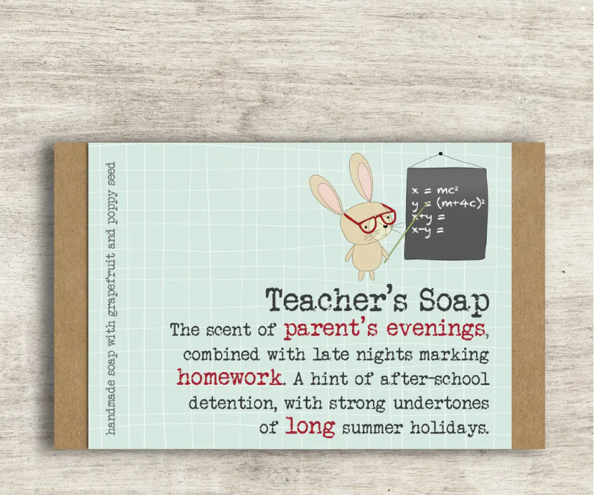 Teacher's Soap - Funny Soap Gift